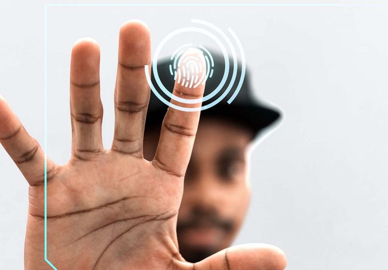 SEO Danışmanlığı